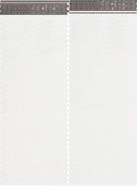 Courier Mailing Envelope: 19